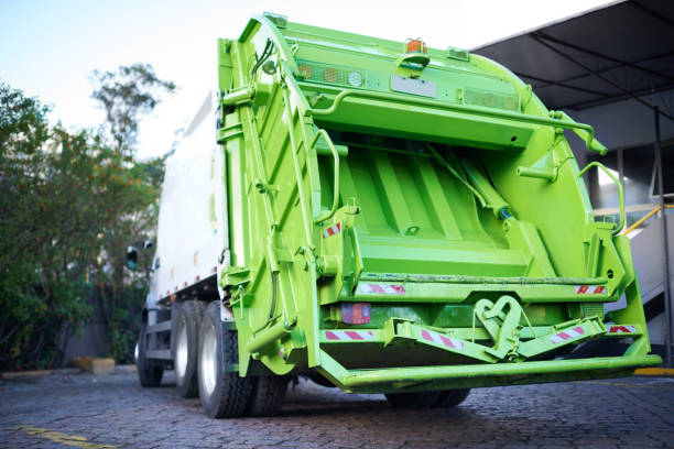 Yard Cleanup Services in Lake Mack Forest Hills, FL